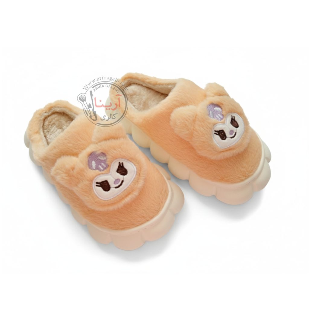 اسلیپر (دمپایی روفرشی) پولیشی کرومی