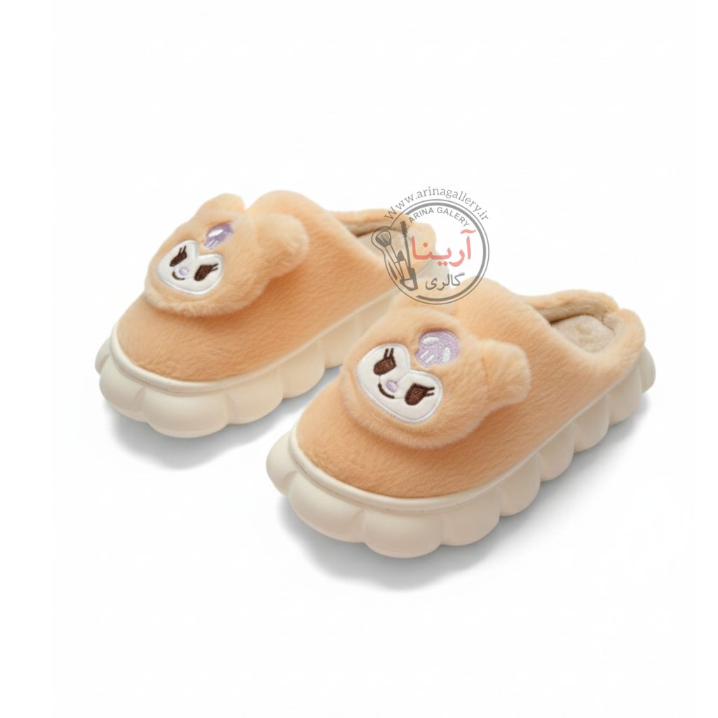 اسلیپر (دمپایی روفرشی) پولیشی کرومی